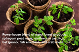 FoxFarm Ocean Forest Potting Soil Mix Indoor Outdoor for Garden and Plants | Plant Fertilizer | 12 Quarts (4 Pack) | The Hydroponic City Stake